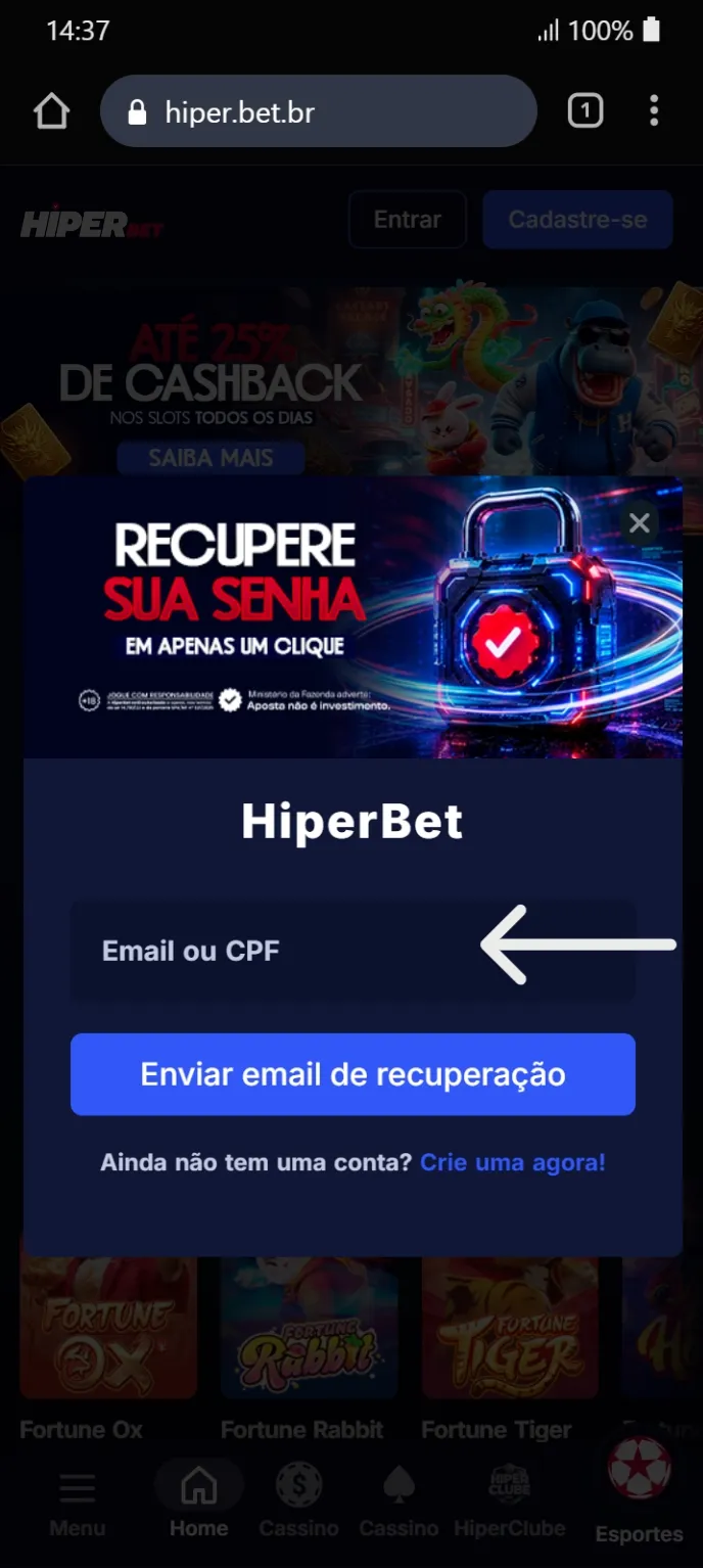 Formulário de recuperação com campo "Email ou CPF" e botão "Enviar email de recuperação".